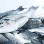 Fish_jakub-kapusnak-vLQzopDRSNI-unsplash (1)