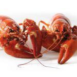 crayfish-423251_1920