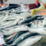 Closeup of fresh silver fish and seafood on store display